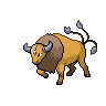 pyroar-male